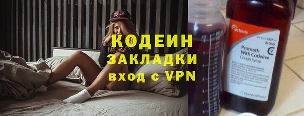 первитин Гусев