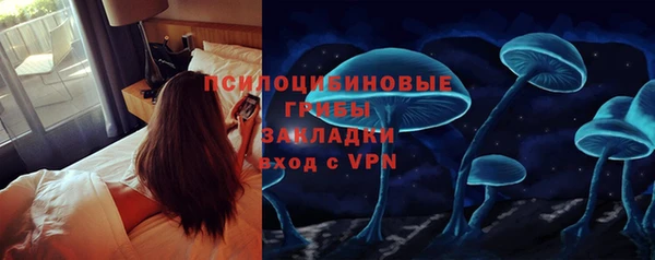 первитин Гусев