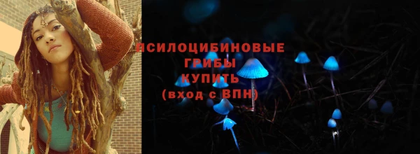 мдпв Дмитровск