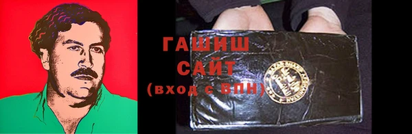 первитин Гусев