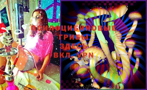 прущие крисы Гусь-Хрустальный