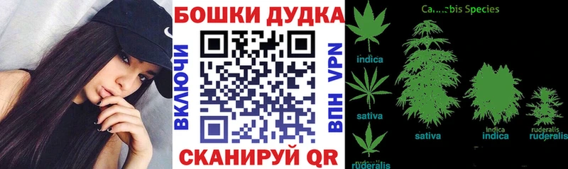 Купить где  Аткарск  Бошки Шишки семена 